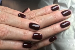 Shellac Maniküre