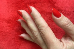 Shellac Maniküre